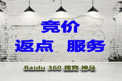 案例分析：百度竞价托管助力行业龙头